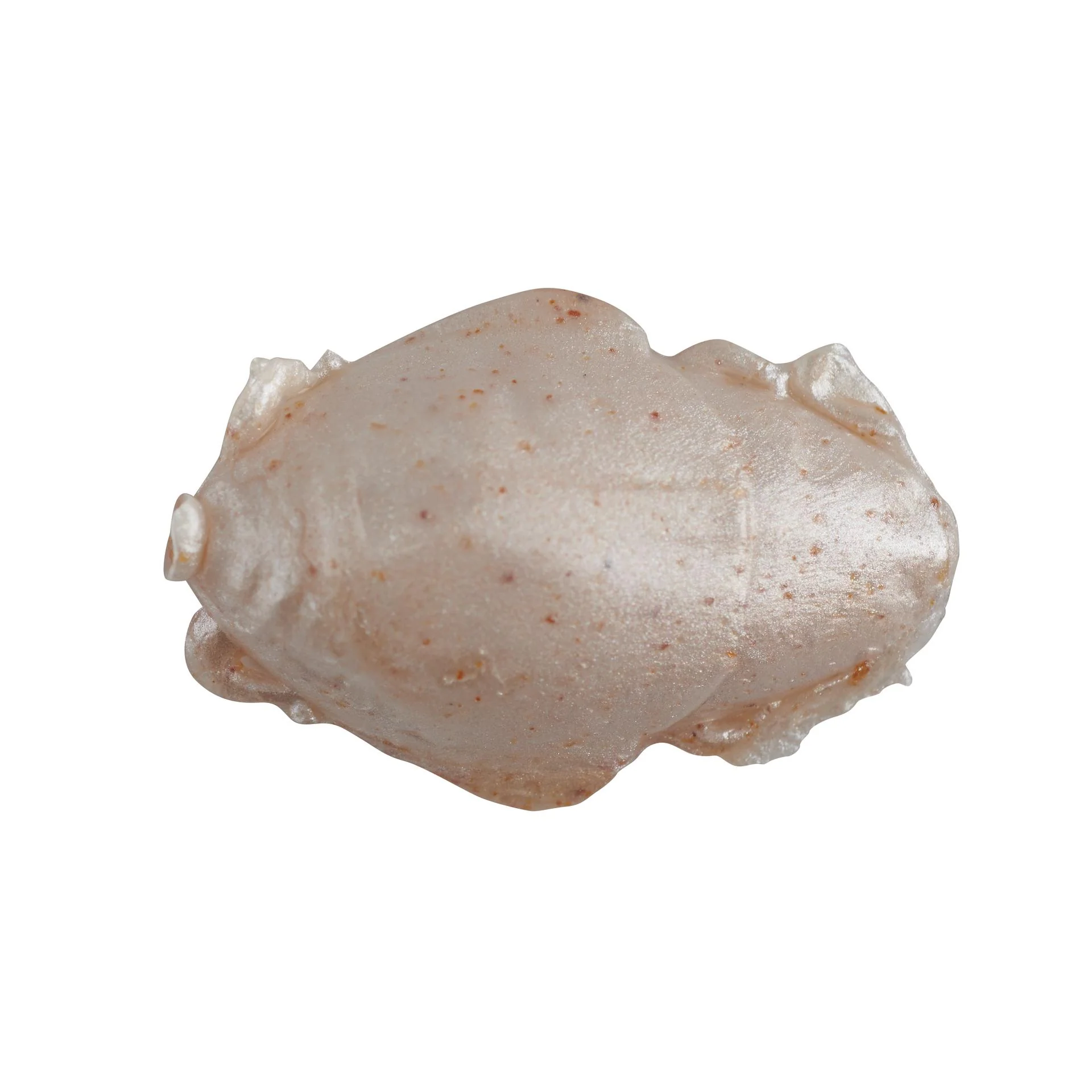 Gulp!? Saltwater Sand Crab Flea