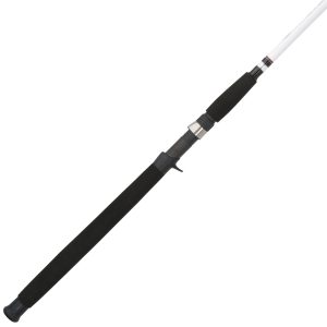 Big Game? Casting Rod