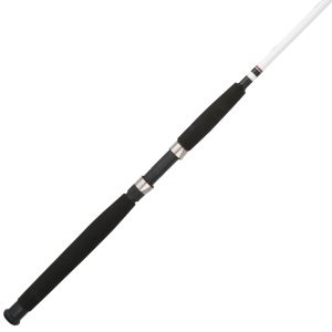 Big Game? Spinning Rod