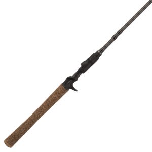 Lightning Rod? Casting