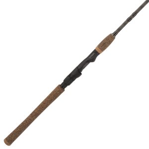Lightning Rod? Trout