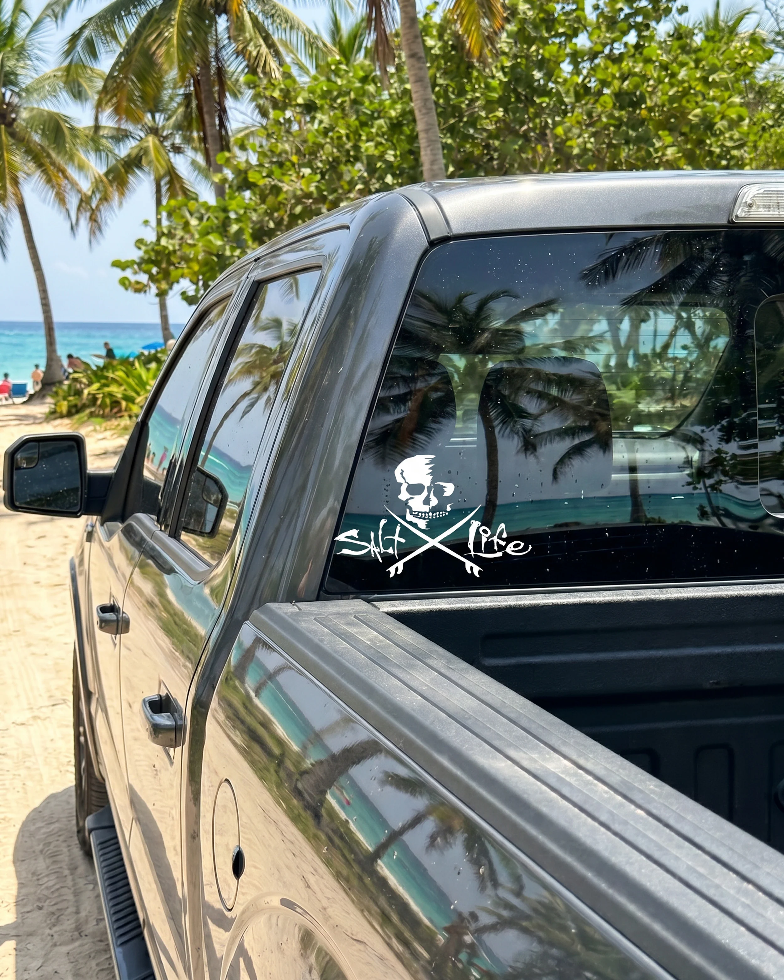 Skull & Boards Decal